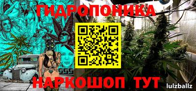 PSILOCYBIN Братск