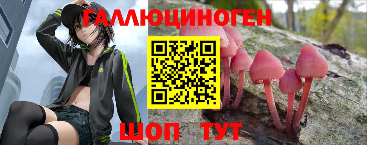 Псилоцибиновые грибы GOLDEN TEACHER  Вход с VPN  Одинцово 